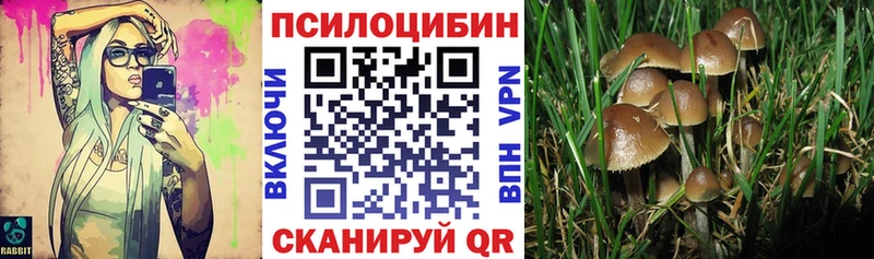наркошоп  Усолье  Галлюциногенные грибы Psilocybe 